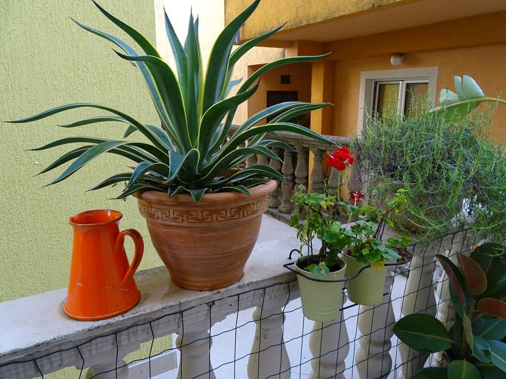 Apartament - Lisa Budva Buitenkant foto