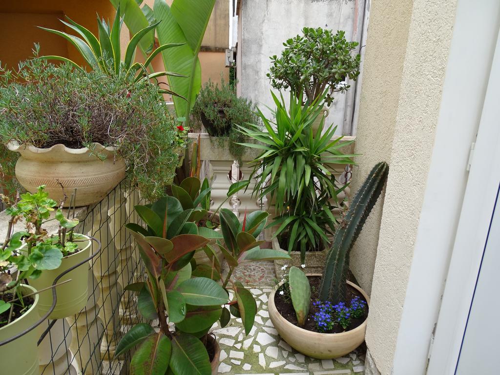 Apartament - Lisa Budva Buitenkant foto