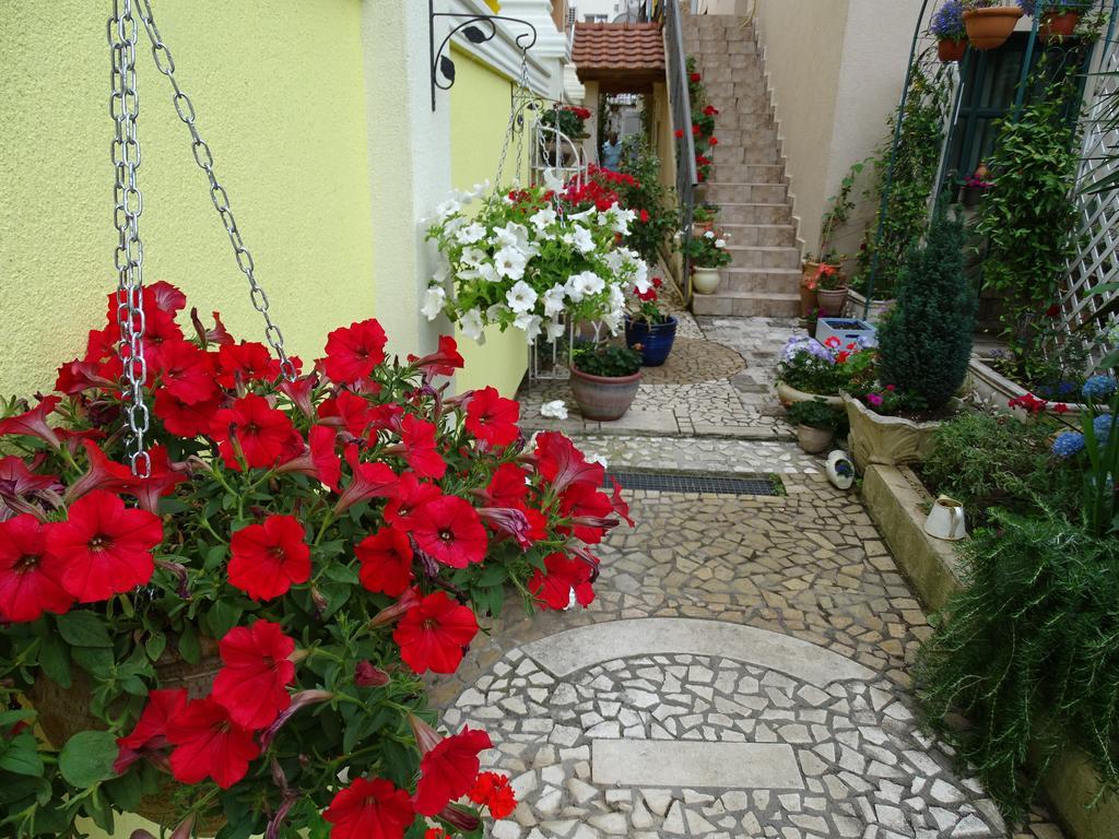 Apartament - Lisa Budva Buitenkant foto